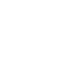 ico08